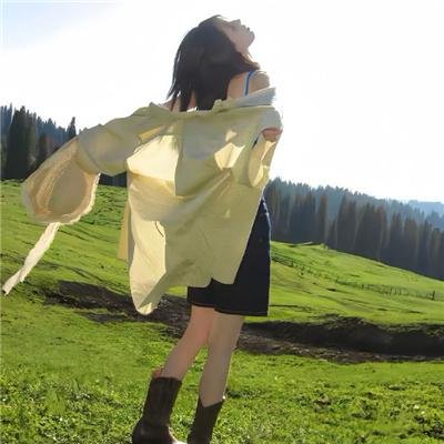 迈克尔·谢恩,私家侦探